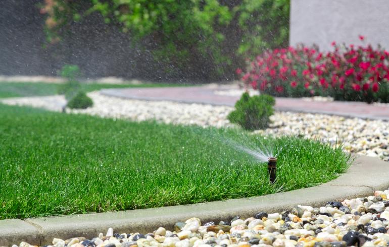 main of Your Grass and Garden Thrive With the Right Sprinkler