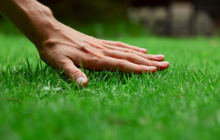 main of A Few Helpful Tips Can Help Anyone Improve Their Lawn Care