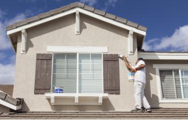 thumbnail of he Fantastic Beauty of Shutters